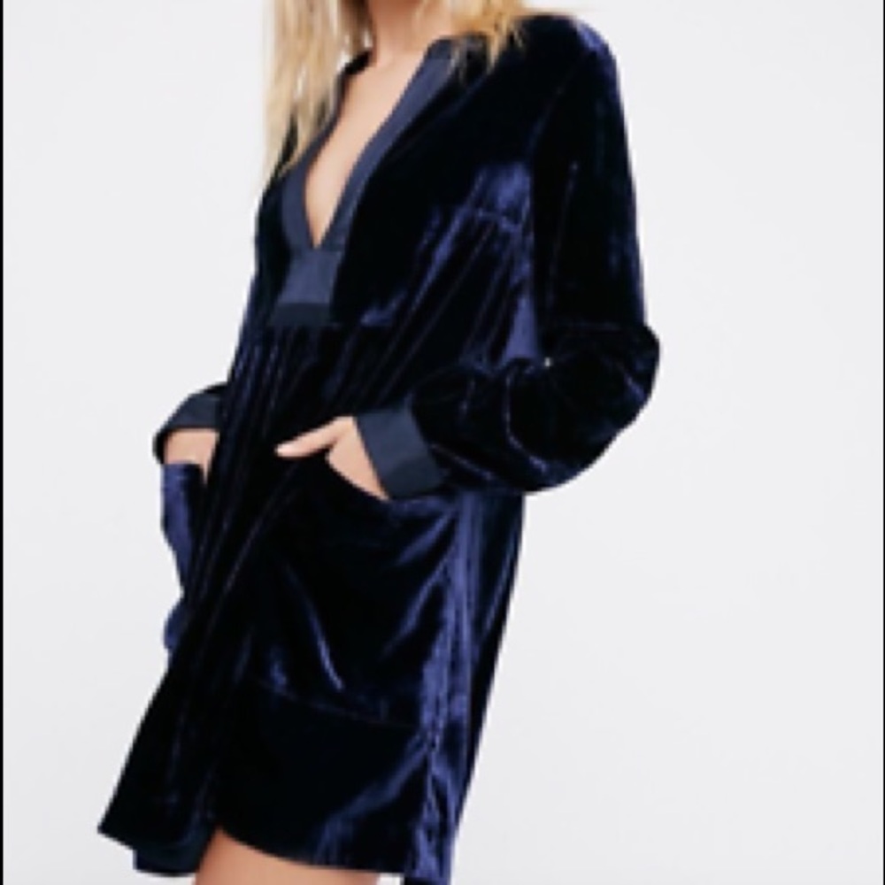 Free People Long Sleeve Velvet Dress